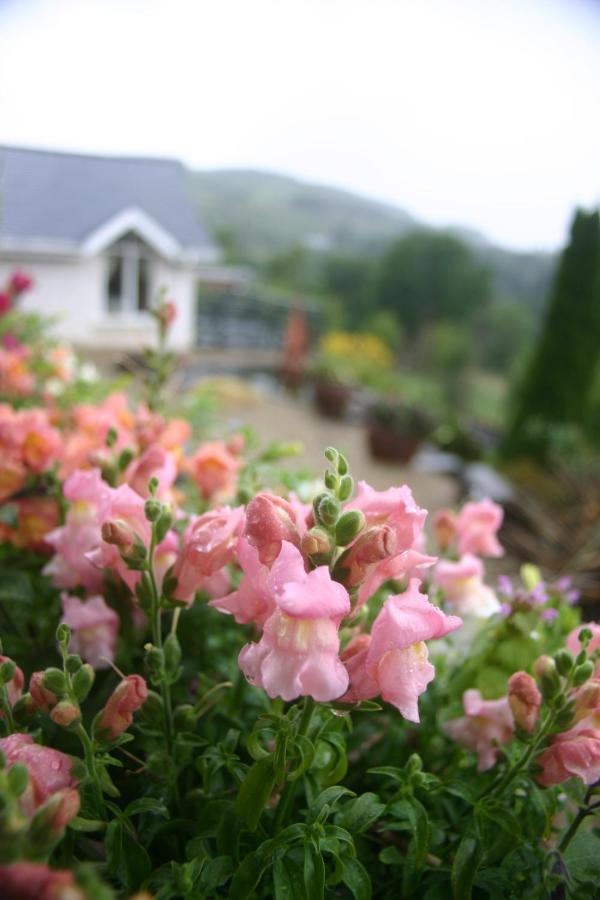 Wicklow Way Lodge المظهر الخارجي الصورة